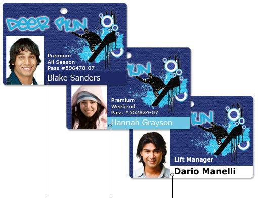 Examples of using color to distinguish cardholder groups