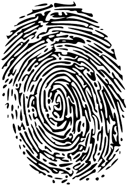 Example of a Fingerprint Example of a Fingerprint