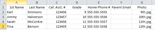 Example of a ID Record Spreadsheet