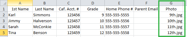 Example of a ID Record Spreadsheet